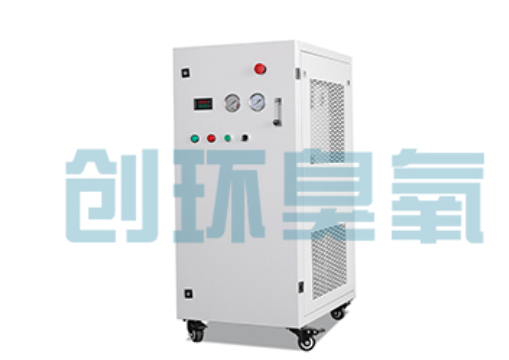 滦平石斑鱼养殖水质调控完整指南:臭氧发生器配置与操作步骤